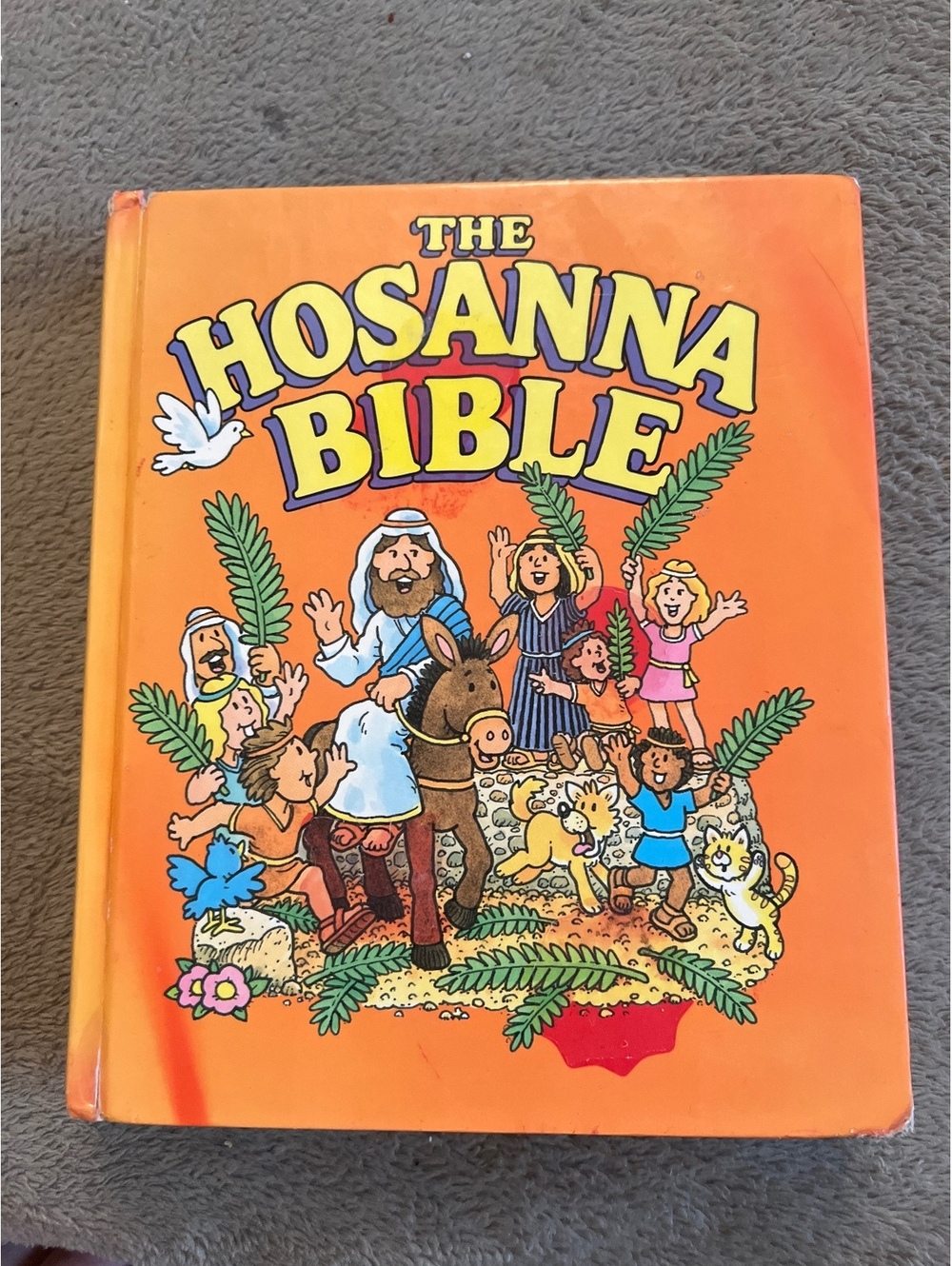 The Hosanna Bible - Children's Illustrated Bible Book